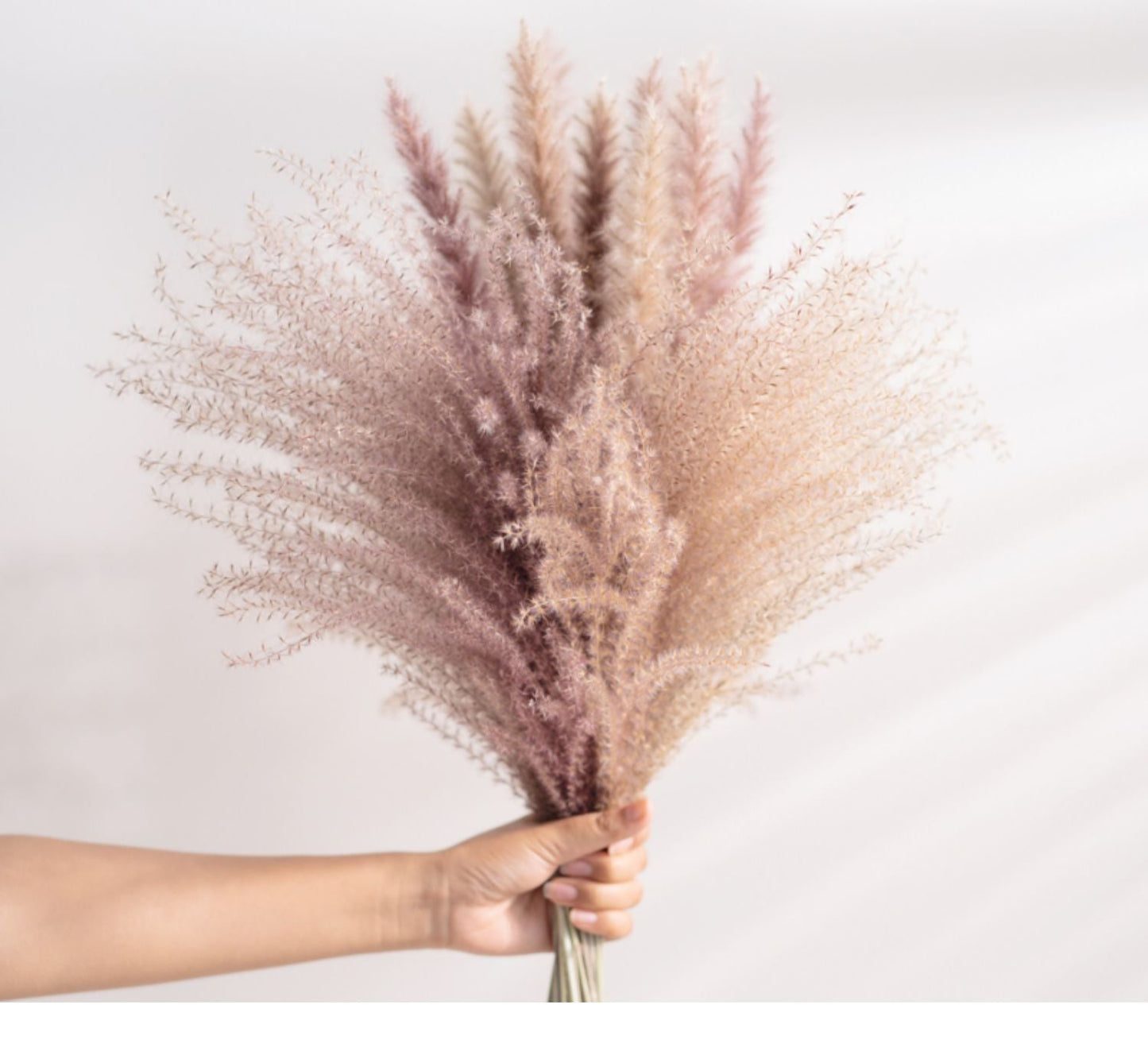 7stems  18inch dried wedding pampas grass decoration ,dried botanical，Dried pampas grass flower arrangement，home decor