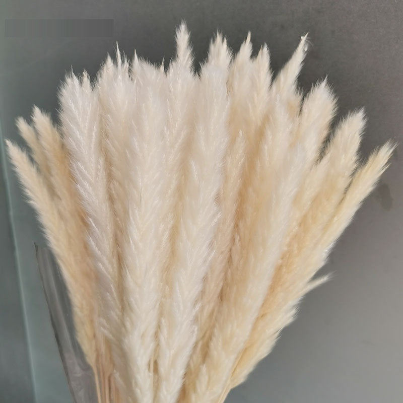 7stems  18inch dried wedding pampas grass decoration ,dried botanical，Dried pampas grass flower arrangement，home decor