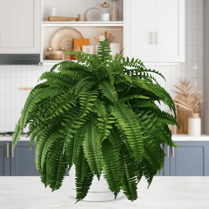 Last Day 50% OFF--UV Resistant Lifelike Artificial Boston Fern🍀