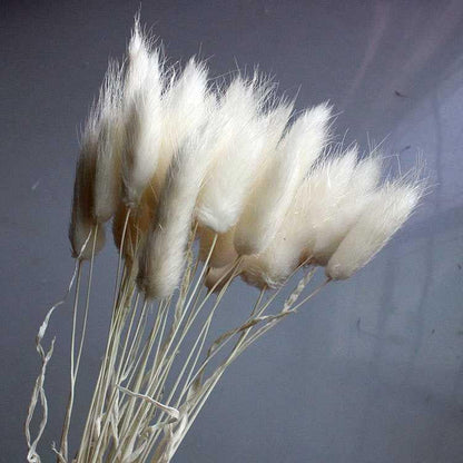 7stems  18inch dried wedding pampas grass decoration ,dried botanical，Dried pampas grass flower arrangement，home decor