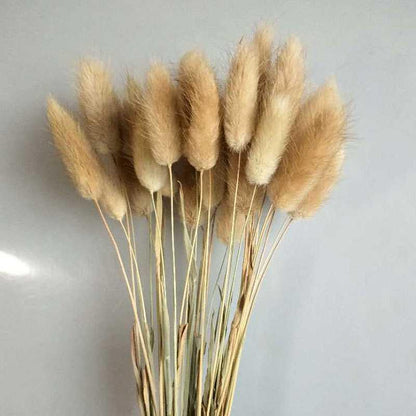 7stems  18inch dried  pampas grass wedding home decor leaves ,dried botanical，Dried pampas grass flower arrangement，home decor