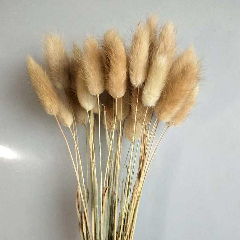 7stems  18inch dried wedding pampas grass decoration ,dried botanical，Dried pampas grass flower arrangement，home decor