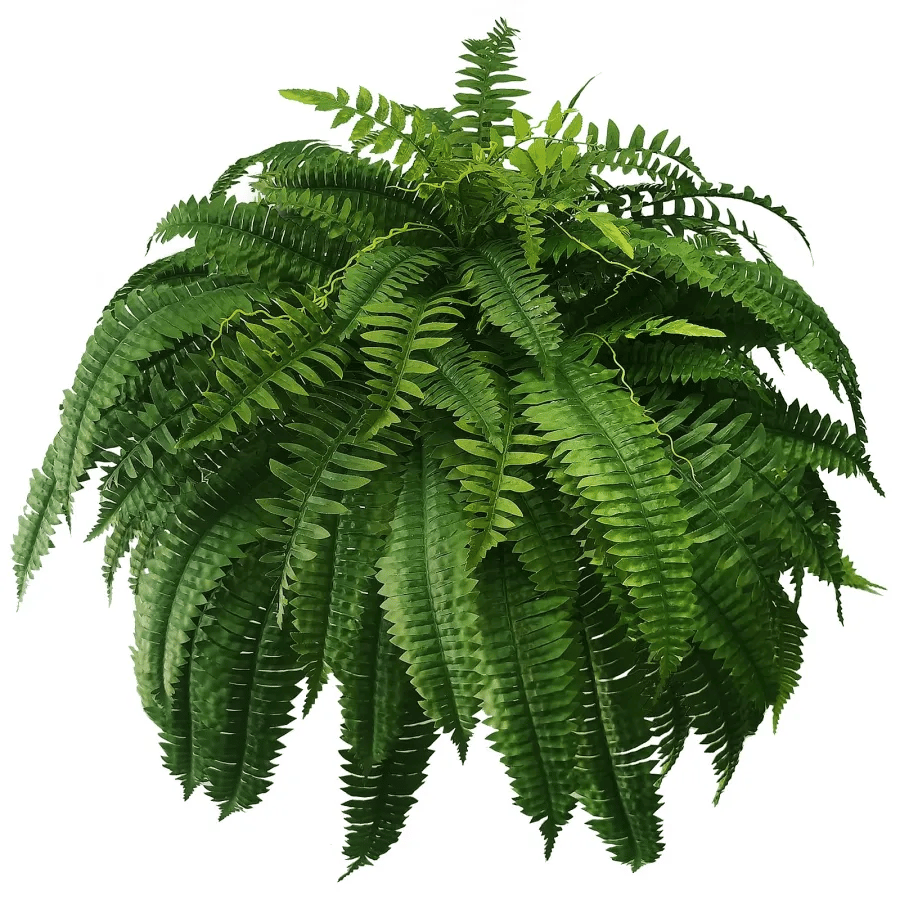 Last Day 50% OFF--UV Resistant Lifelike Artificial Boston Fern🍀