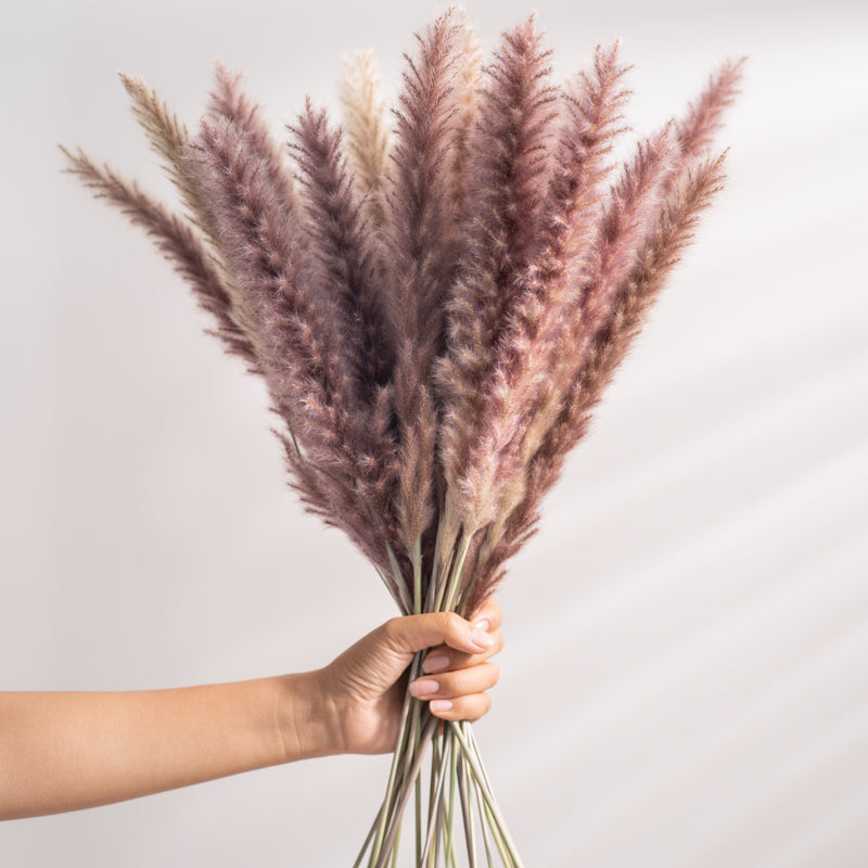 7stems  18inch dried wedding pampas grass decoration ,dried botanical，Dried pampas grass flower arrangement，home decor