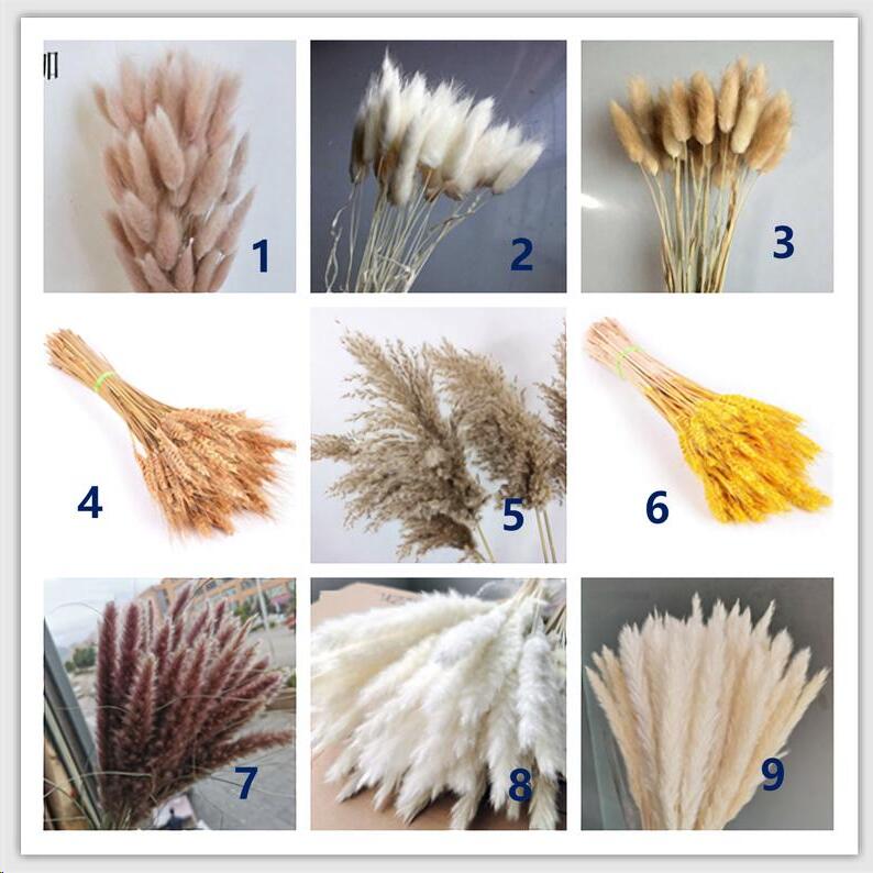 7stems  18inch dried wedding pampas grass decoration ,dried botanical，Dried pampas grass flower arrangement，home decor